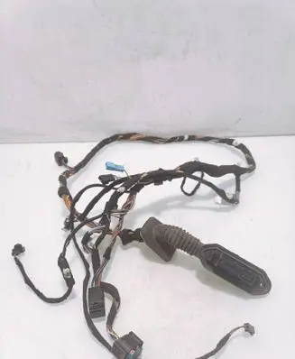 Front door wiring loom