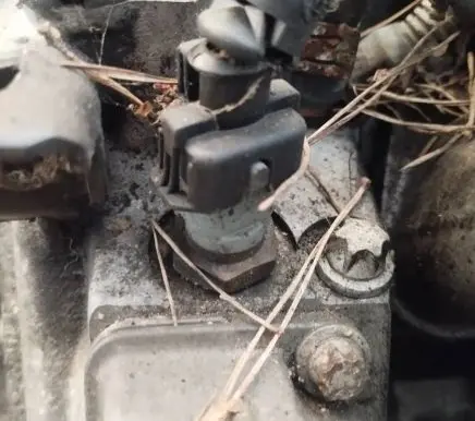 Coolant temperature sensor