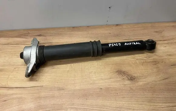 Renault Austral Rear shock absorber/damper 562108737R