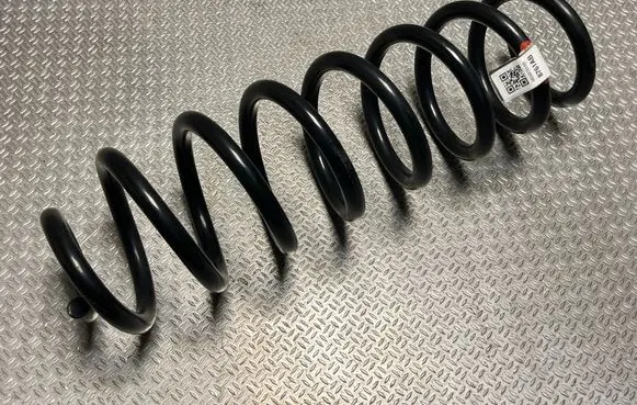 Rear coil spring