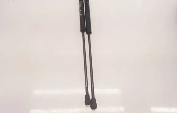 Peugeot 206 Tailgate/trunk strut/damper 9631441380