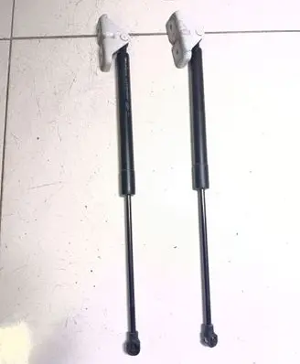 Renault Zoe Tailgate/trunk strut/damper 904502915R