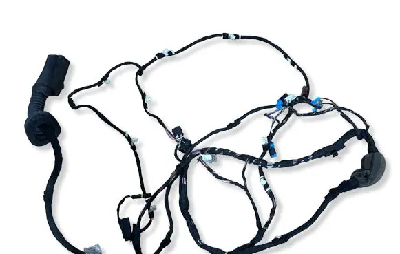 BMW X3 G01 Front door wiring loom 5A48F74 E69380A 2501240802
