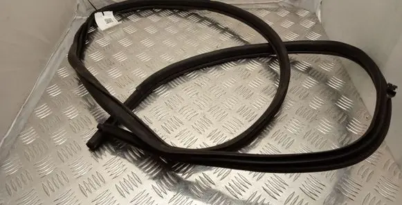Nissan Qashqai Rubber seal rear door 