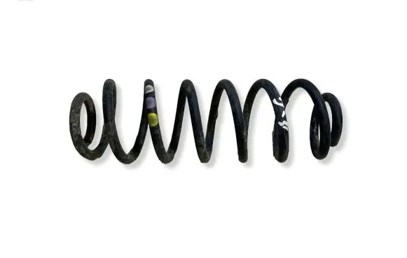 Volkswagen PASSAT B6 Rear coil spring 