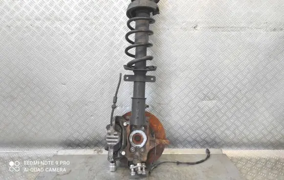 Renault Trafic III (X82) Front wheel hub spindle knuckle 543029028R