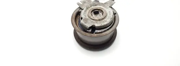 Skoda Octavia Mk2 (1Z) Timing belt/chain tensioner 038109243M