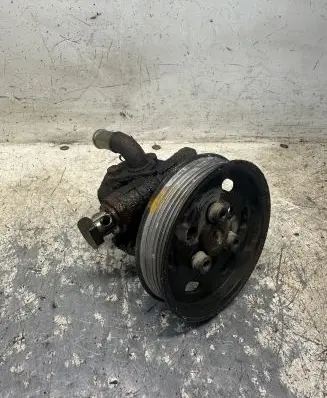 Seat Alhambra (Mk1) Power steering pump