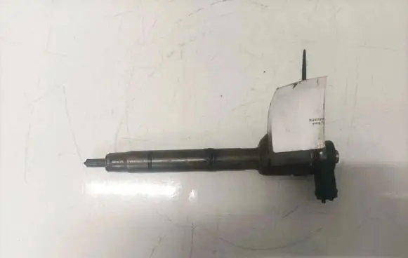 Hyundai i30 Fuel injector 0445110256 338002A400