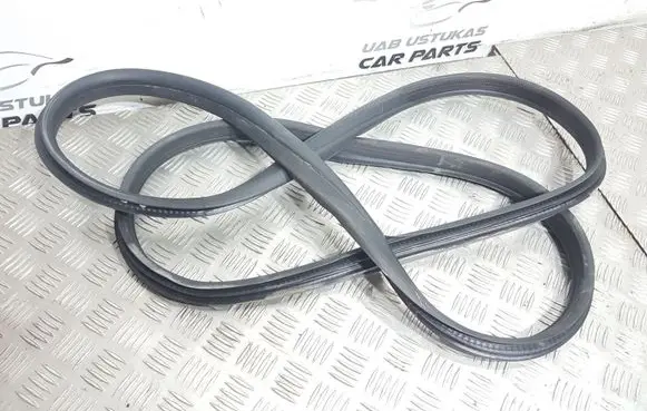 Ford Mondeo MK IV Rear door rubber seal (on body) D1M2A