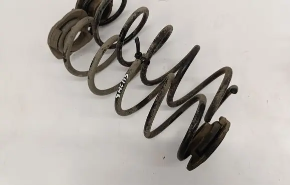 Rear coil spring