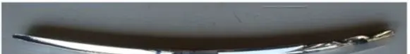 Ford Focus Front grill