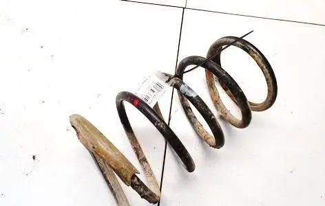 Rear coil spring