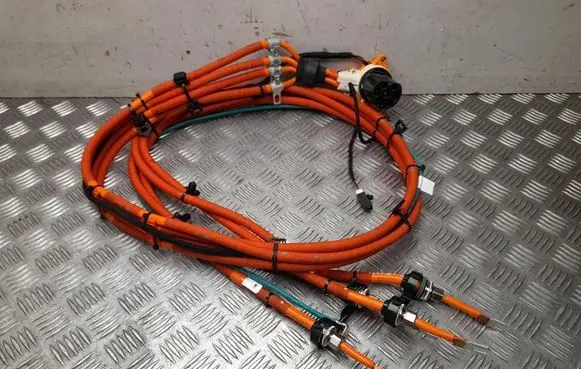 Tesla Model S Other wiring loom 108705410B