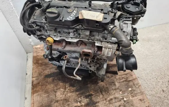 Ford Focus Engine T1DB
