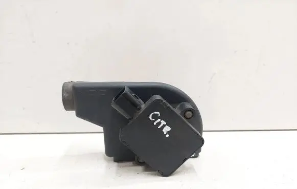 Citroen Xsara Picasso Accelerator pedal position sensor 9643365680 445821001002 10105