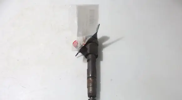 Renault Laguna II Fuel injector 0445110021