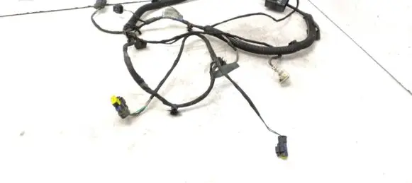 Other wiring loom