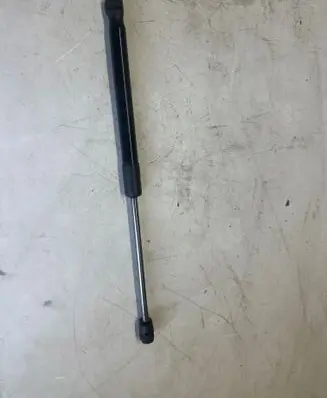 Tailgate/trunk strut/damper
