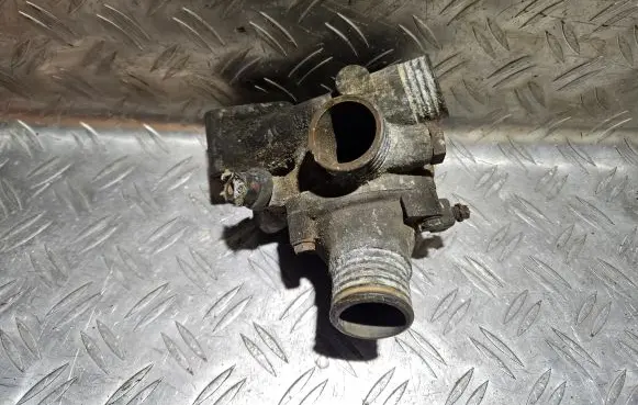 Thermostat/thermostat housing