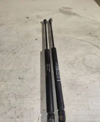 Tailgate/trunk strut/damper
