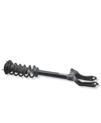 Dodge Durango Front shock absorber with coil spring 68280980AC 55553E 1A18926A