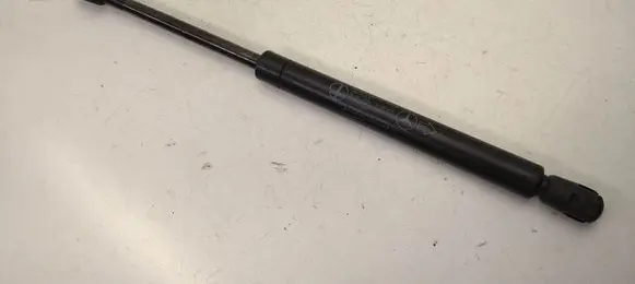 Tailgate strut