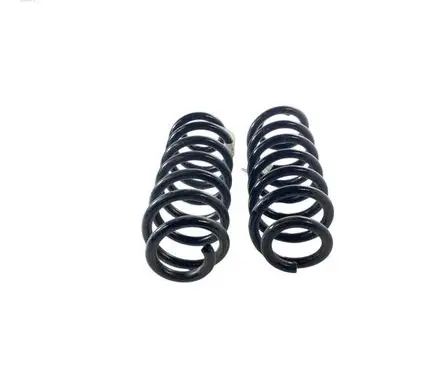 Ford Bronco Rear coil spring LX615560BNF