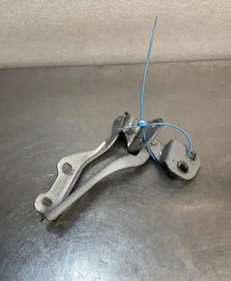 Dacia Spring Engine bonnet/hood hinges DODACIASPRING