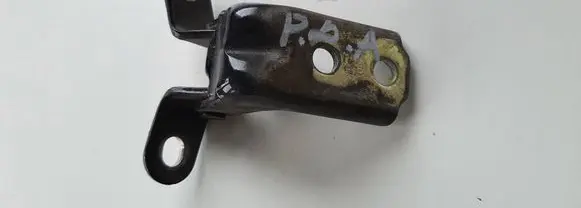 Hyundai Santa Fe Front door lower hinge 