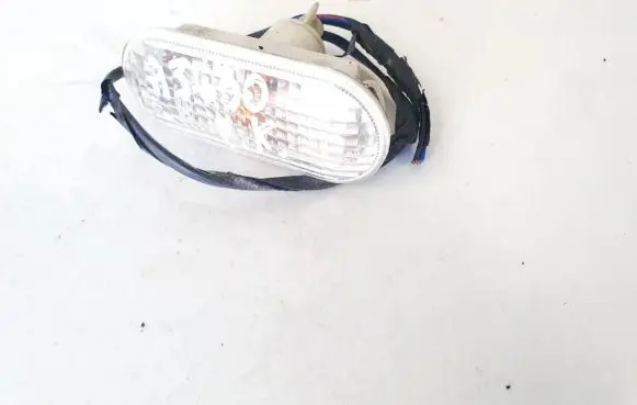 Front fender indicator light