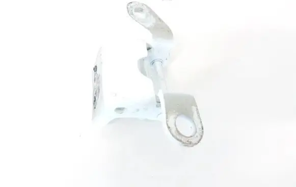 Honda CR-V Rear door lower hinge WWRR