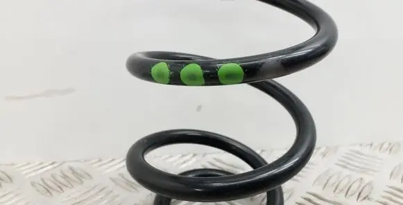 Skoda Rapid (NH) Rear coil spring