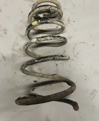 Rear coil spring