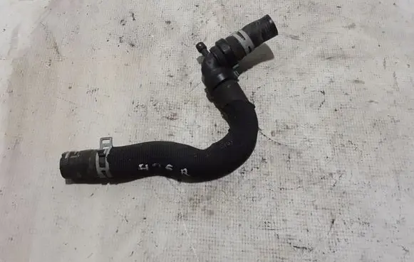 Dacia Sandero III Engine coolant pipe/hose 924102426R