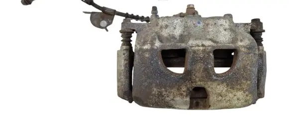 Ford F150 Front brake caliper US7168529B2 18191301 N10DE