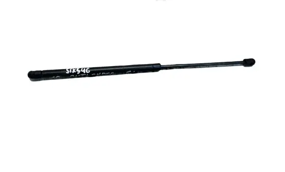 Tailgate/trunk strut/damper