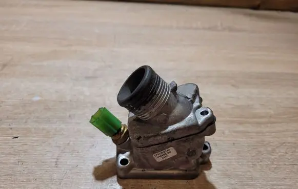 Thermostat/thermostat housing