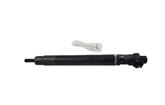 Citroen C5 Fuel injector 9686191080 EMBR00101D