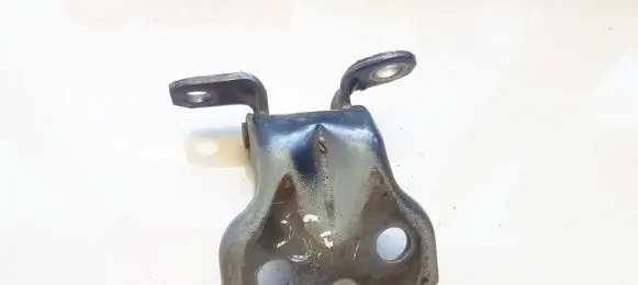 Rear door lower hinge