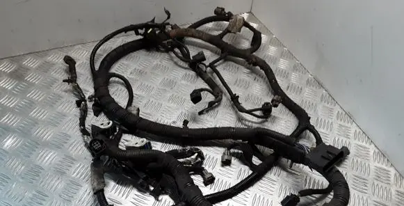 Ford Transit Engine installation wiring loom