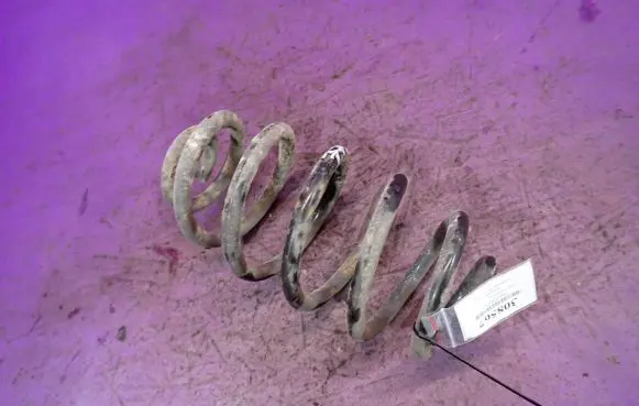 Opel Signum Rear coil spring