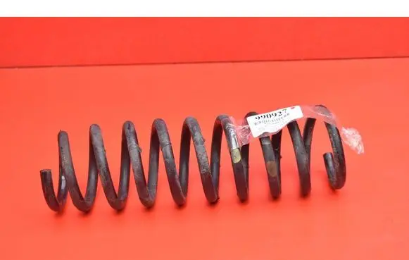 Rear coil spring