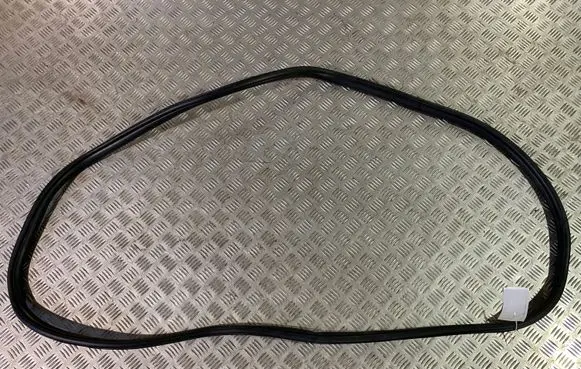 BMW 2 F46 Rear door rubber seal (on body) 7316818