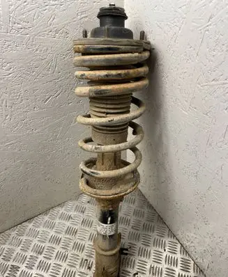 Land Rover Freelander Rear shock absorber with coil spring 