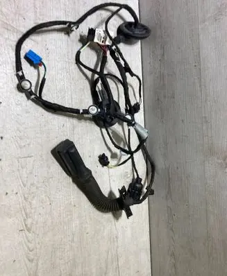 Front door wiring loom