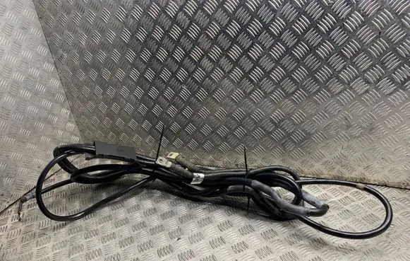 Volkswagen Phaeton Other wiring loom 3D1971349A