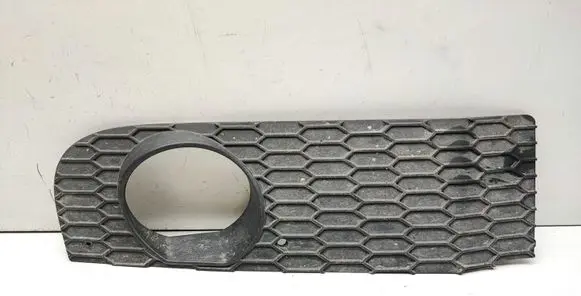 Front fog light trim/grill