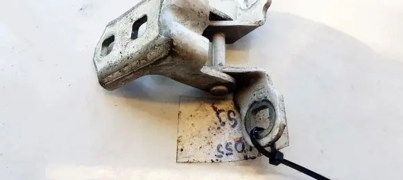 Rear door lower hinge