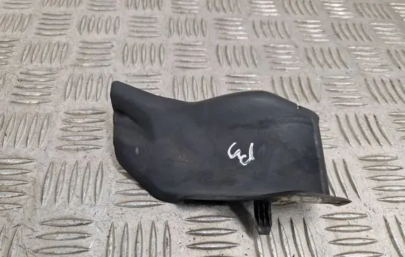 Citroen Jumpy Wiper trim 9811019877